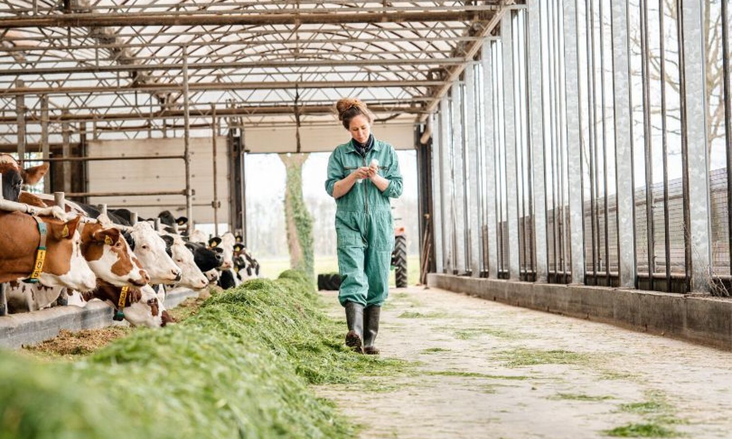 Ontwerp zonder titel