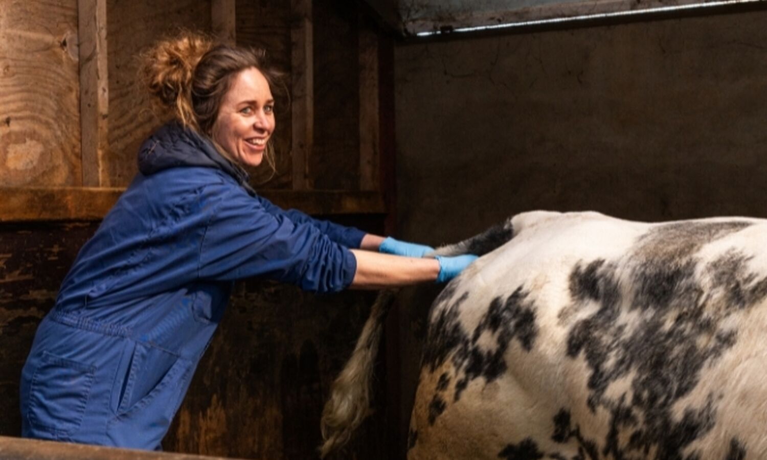 Ontwerp zonder titel 3